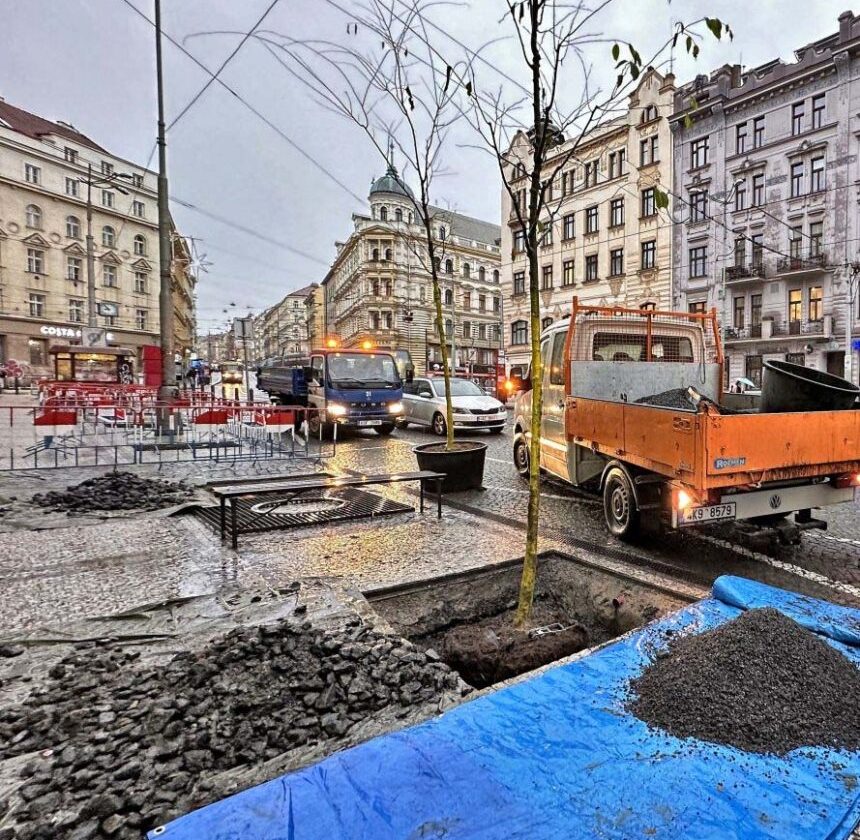 Na Strossmayerově náměstí porostou klimaticky odolné stromy!